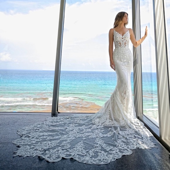 Enzoani Wedding Dress - Picture 2 of 8